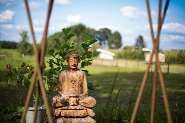 Yoga Retreat: Abundance & Gratitude